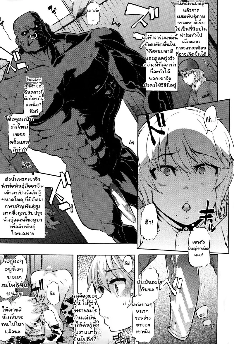 สายสัมพันธ์แห่งทุ่งหญ้า ภาพ 4