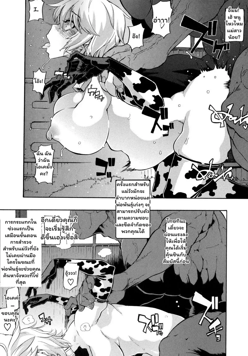 สายสัมพันธ์แห่งทุ่งหญ้า ภาพ 7
