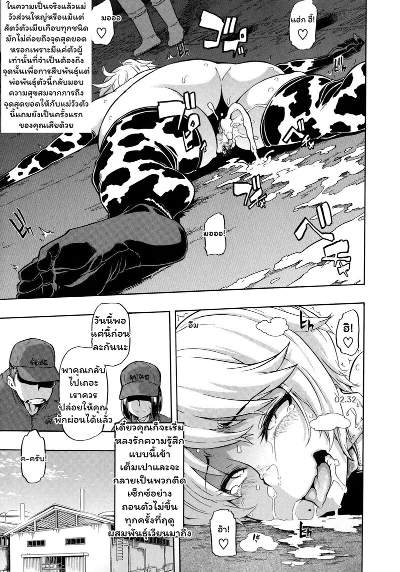 สายสัมพันธ์แห่งทุ่งหญ้า ภาพ 14