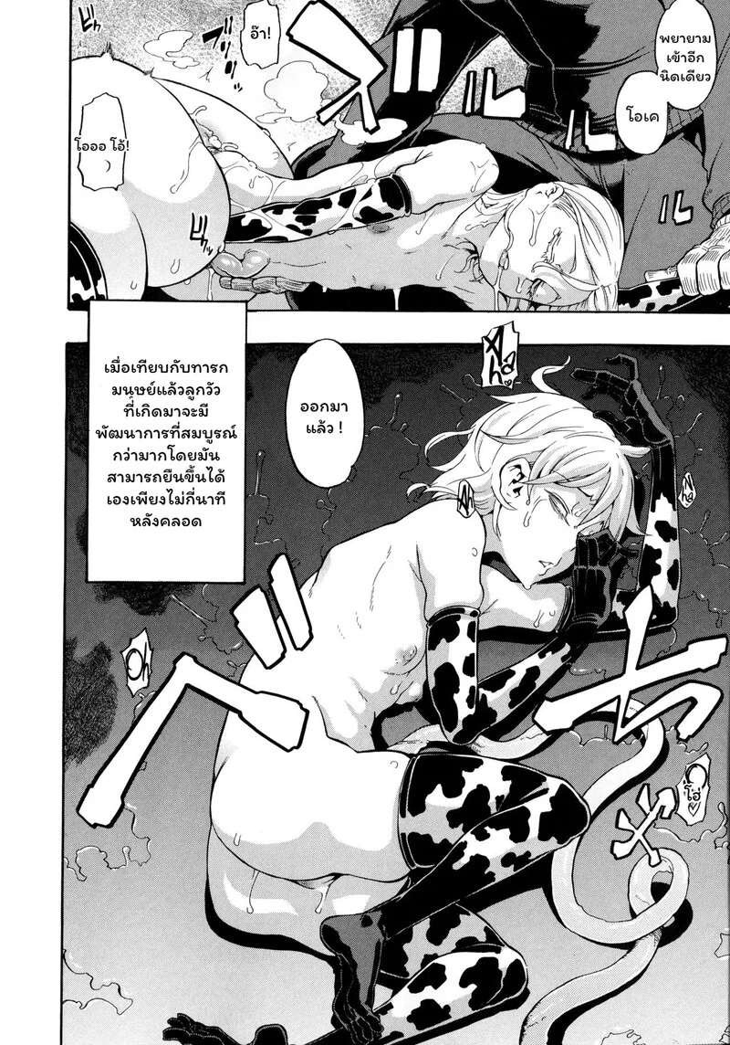 สายสัมพันธ์แห่งทุ่งหญ้า ภาพ 21