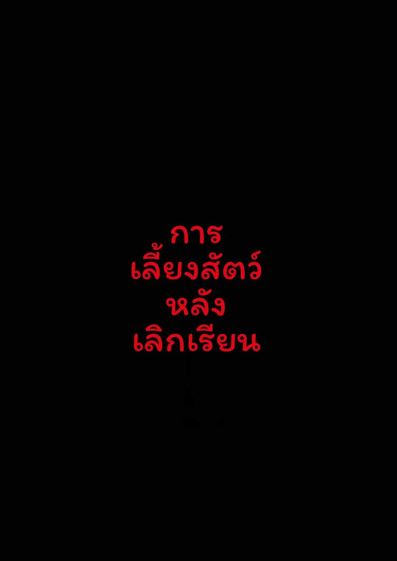 เลี้ยงหลังเลิกเรียน ภาพ 2