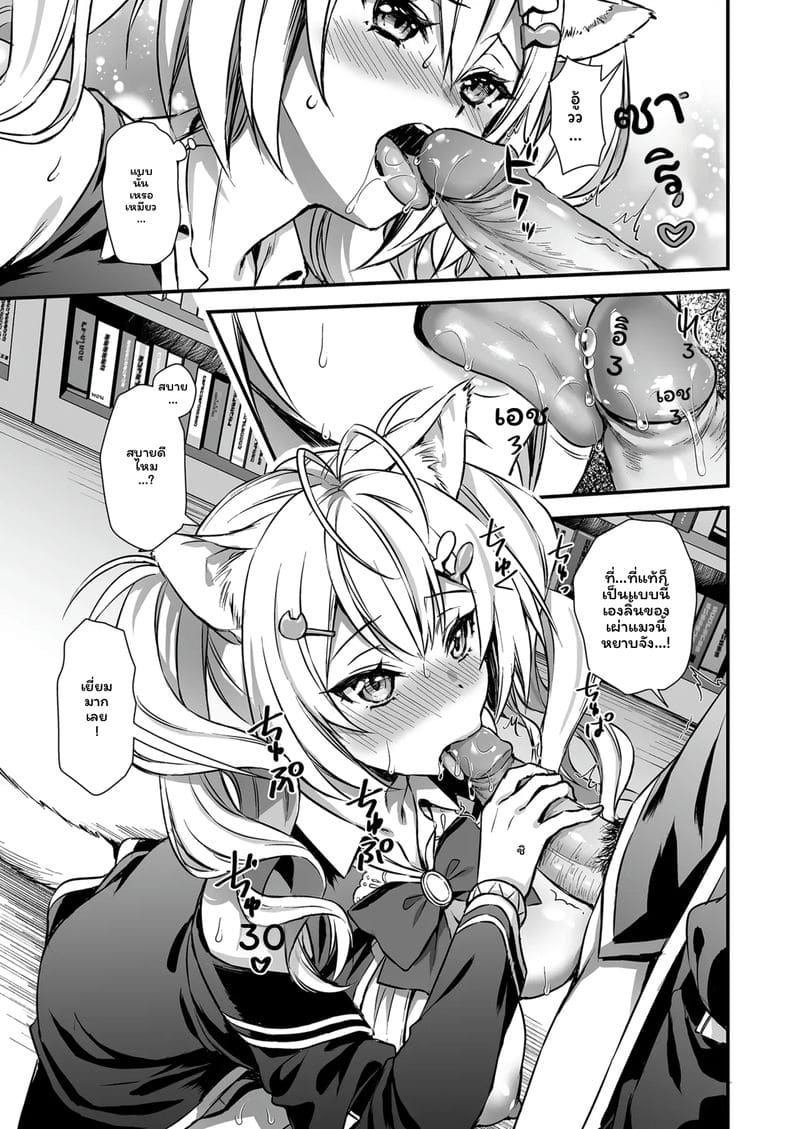 สาวแมวปีศาจ ภาพ 20