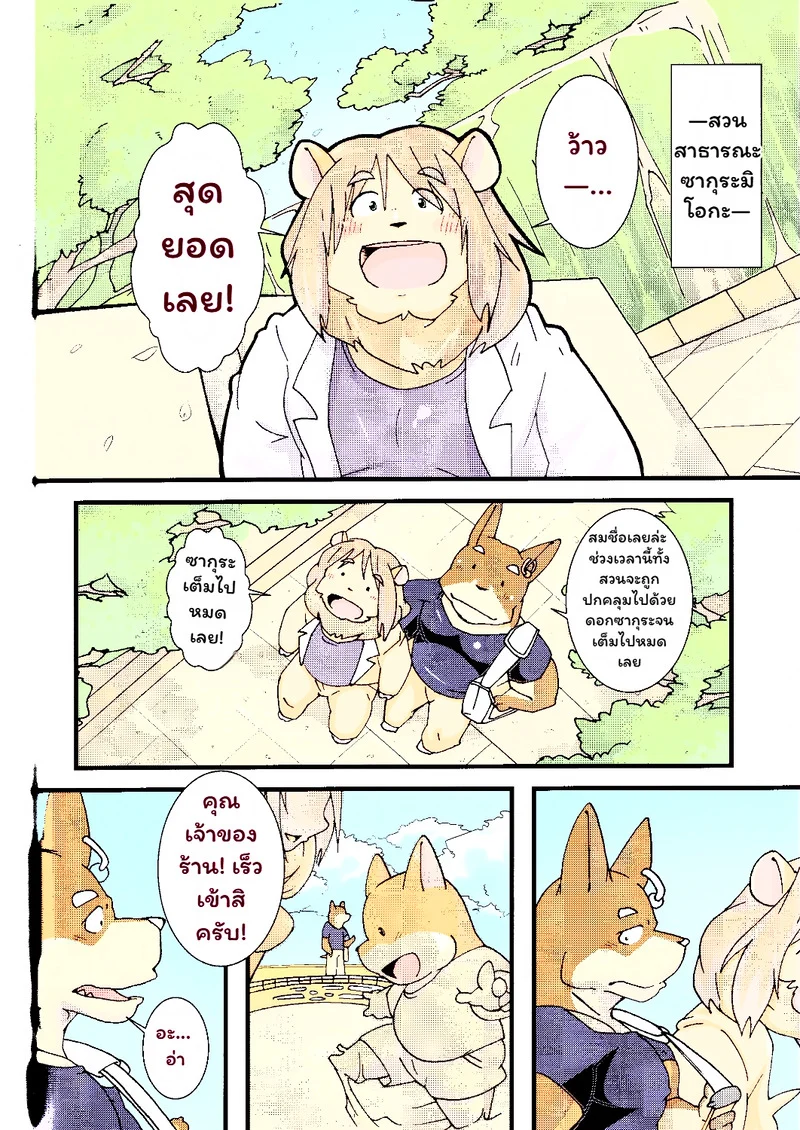 บันดาลฝัน ภาพ 18