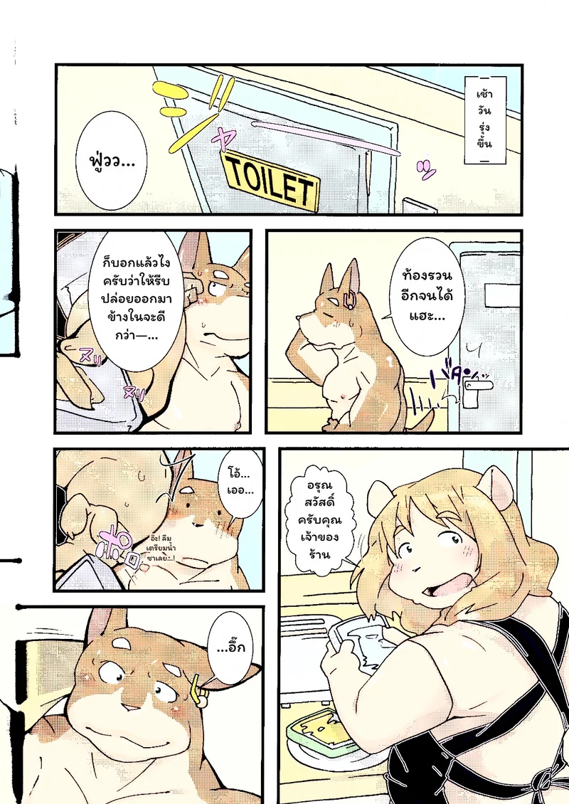 บันดาลฝัน ภาพ 36