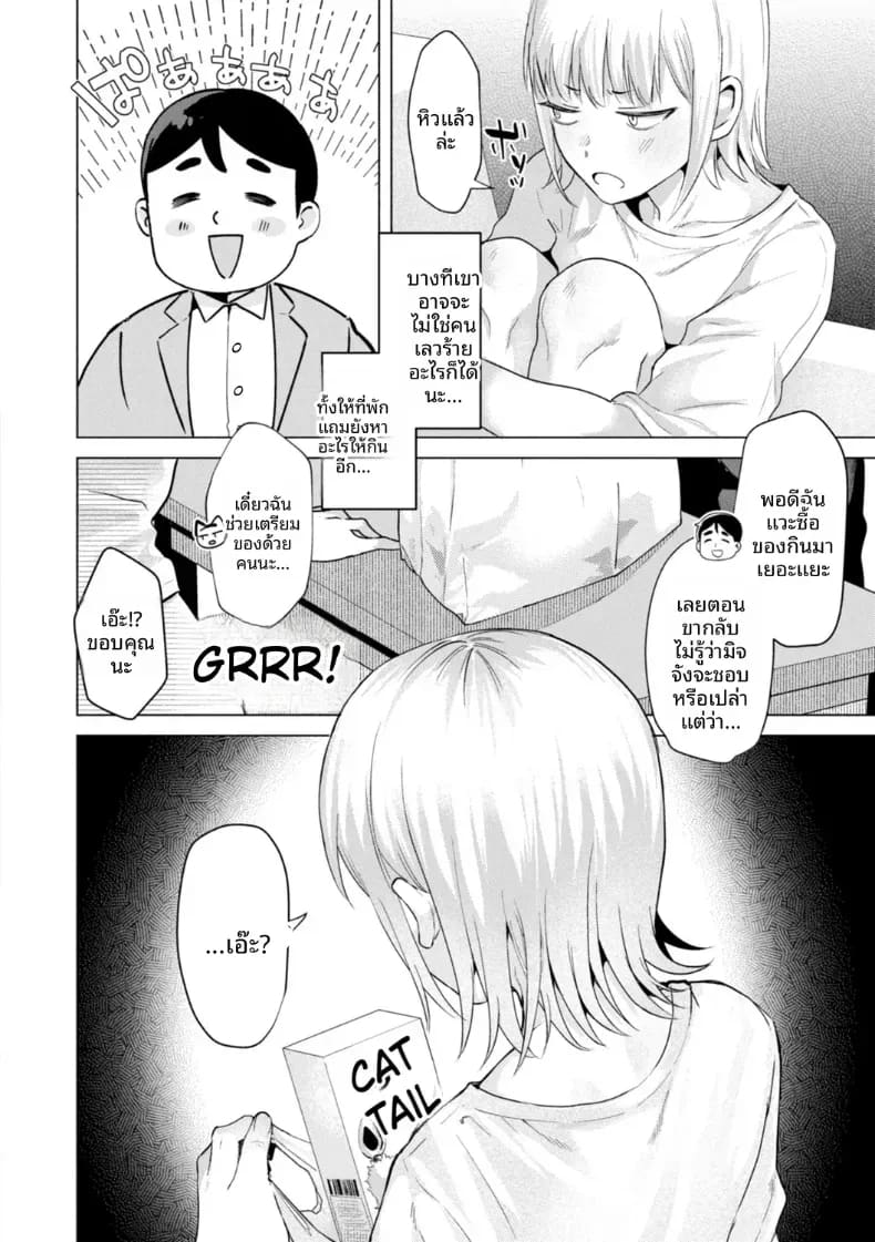 เก็บแมวจรจัดมาเลี้ยง ภาพ 11