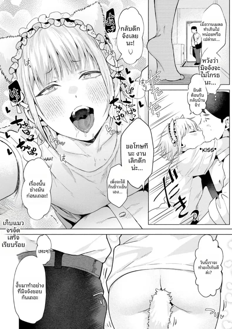 เก็บแมวจรจัดมาเลี้ยง ภาพ 27