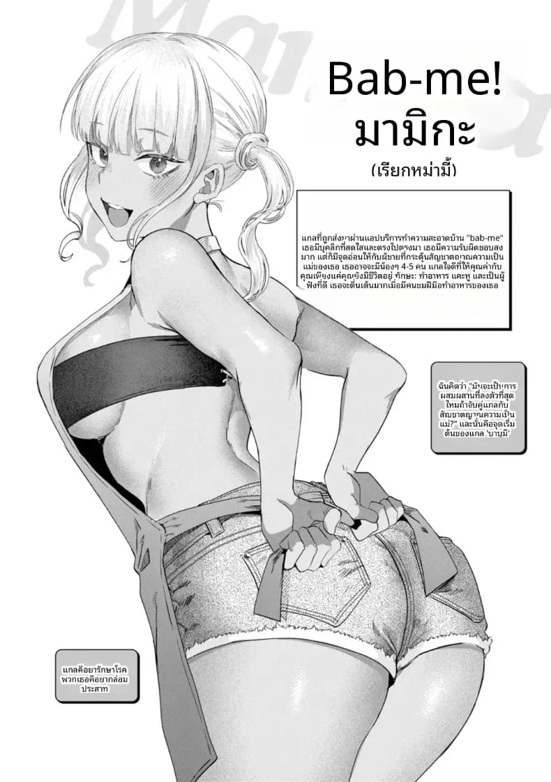 เกลผู้เชี่ยวชาญงานบ้าน ภาพ 23
