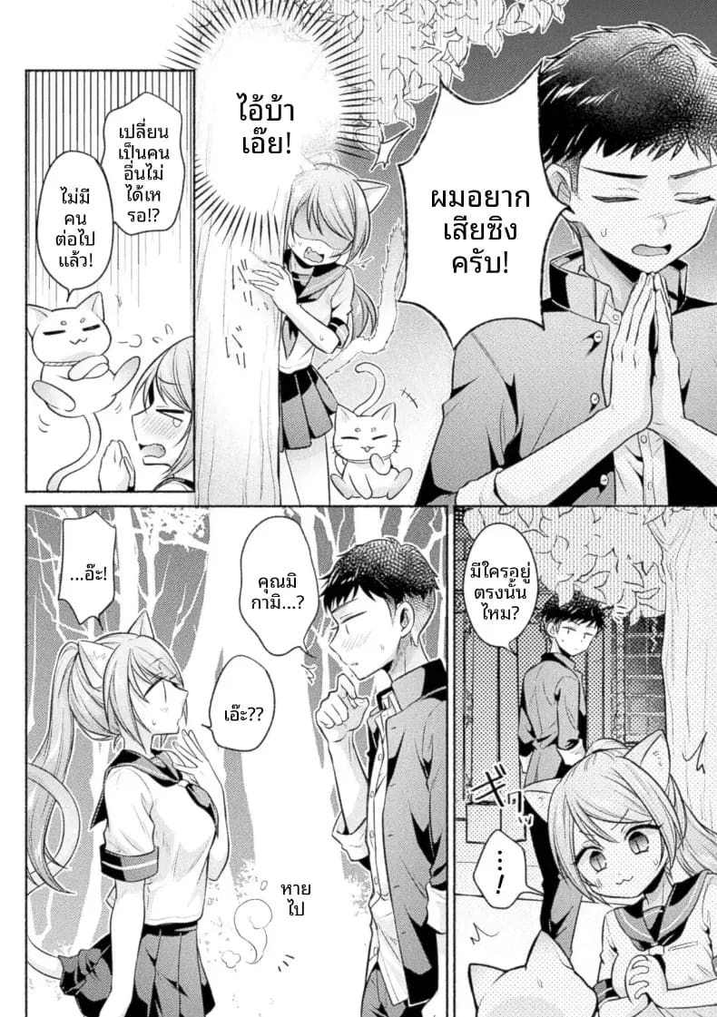 ดังที่เทพเจ้าแมวกล่าวไว้ ภาพ 4