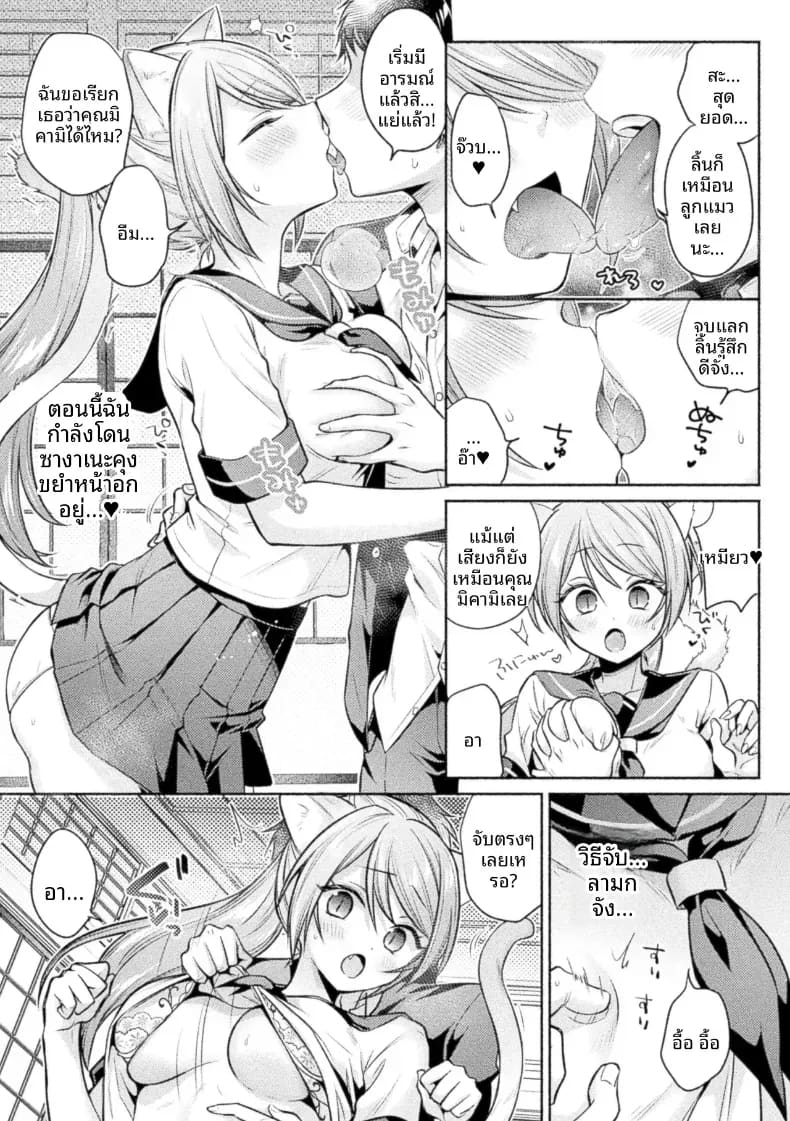 ดังที่เทพเจ้าแมวกล่าวไว้ ภาพ 7