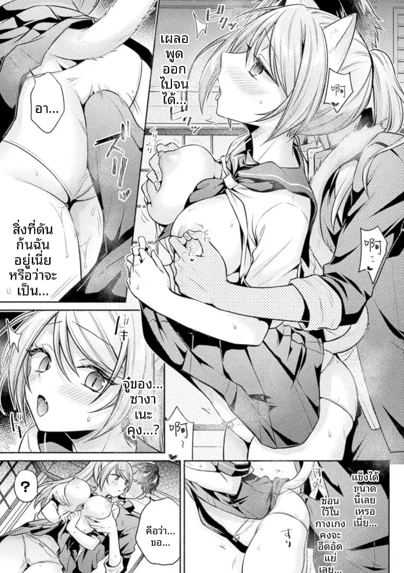 ดังที่เทพเจ้าแมวกล่าวไว้ ภาพ 9