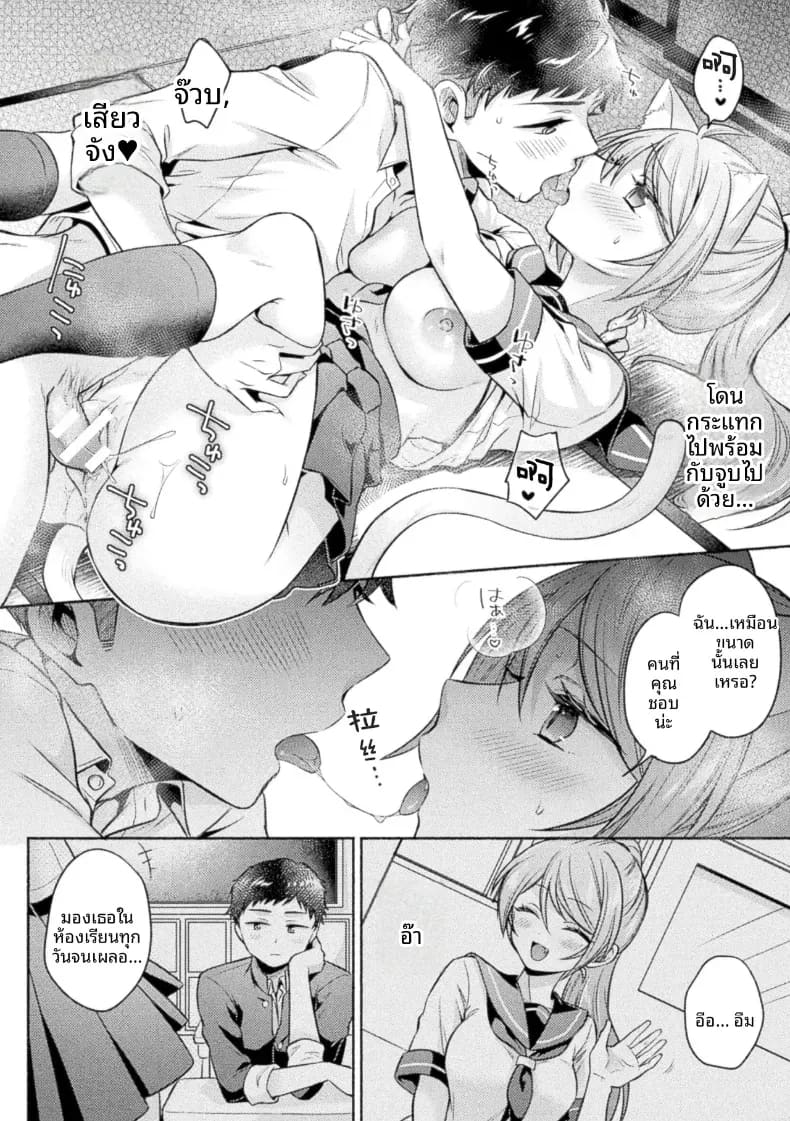 ดังที่เทพเจ้าแมวกล่าวไว้ ภาพ 22