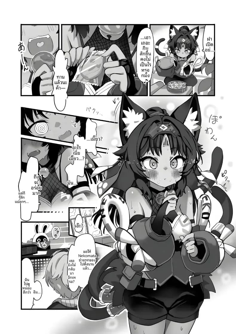เเมวที่เสพเเคทนิป ภาพ 2