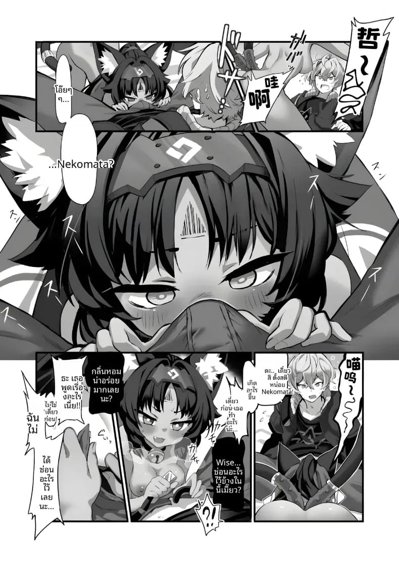 เเมวที่เสพเเคทนิป ภาพ 4