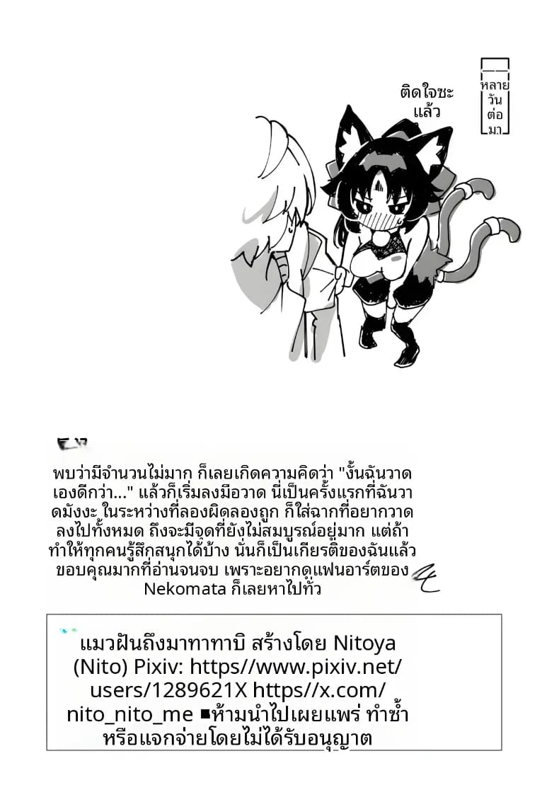 เเมวที่เสพเเคทนิป ภาพ 21