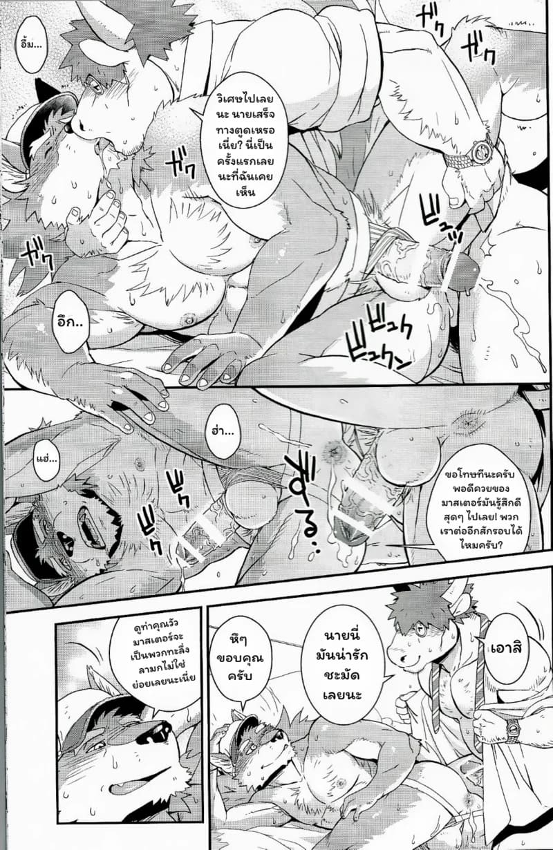 หมาป่ากับวัว ภาพ 16