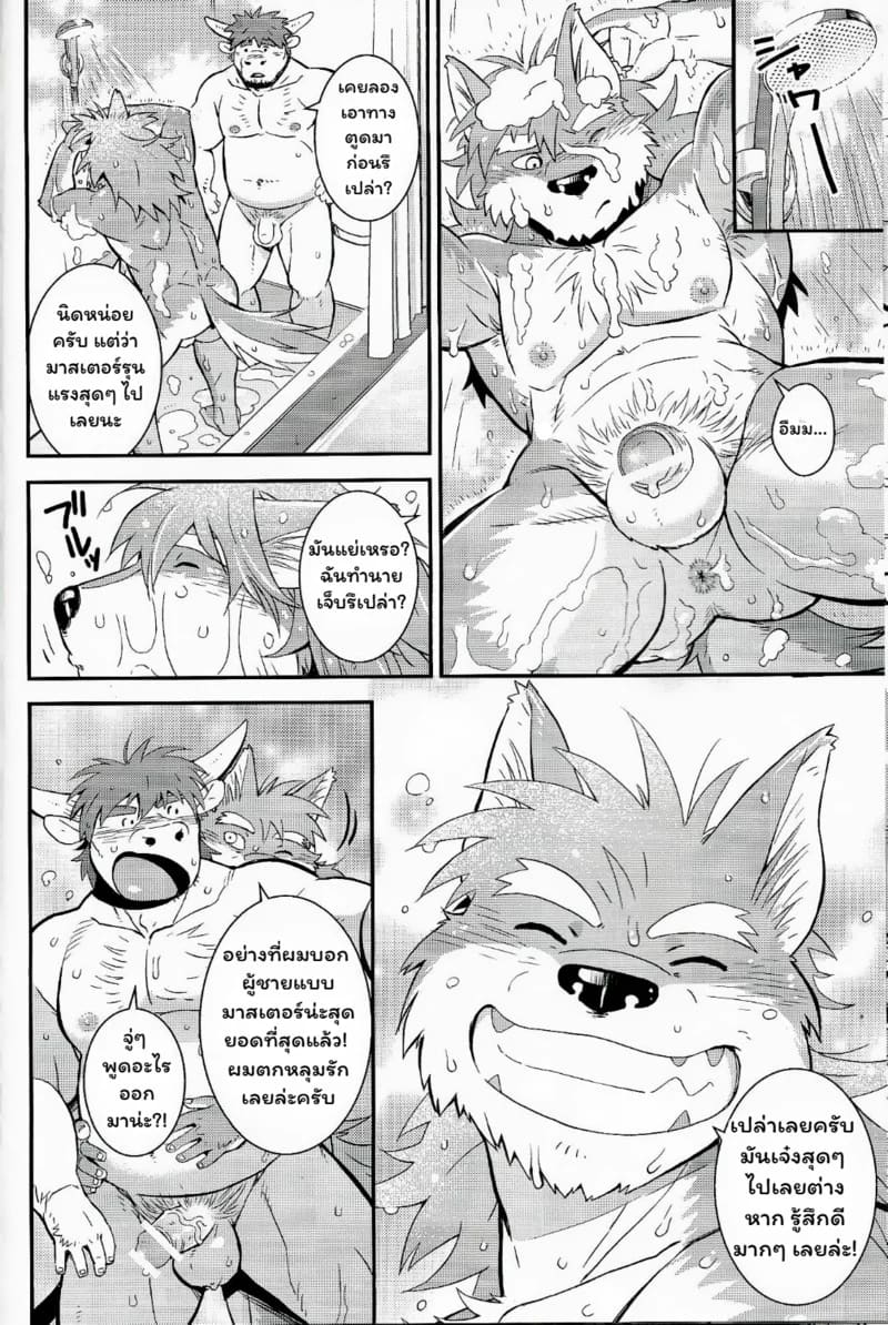 หมาป่ากับวัว ภาพ 23