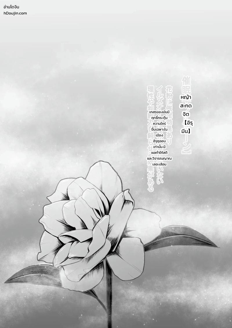 เมืองสะกดจิตอิรุซุออน ภาพ 1