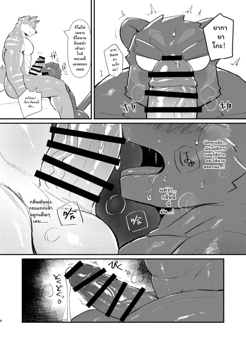 แดนพักพิงของพวกเรา ภาพ 7