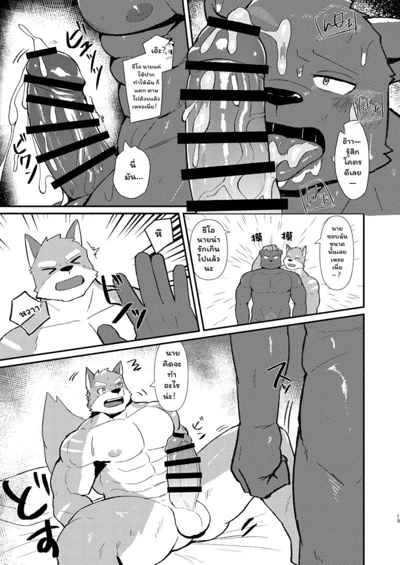แดนพักพิงของพวกเรา ภาพ 12