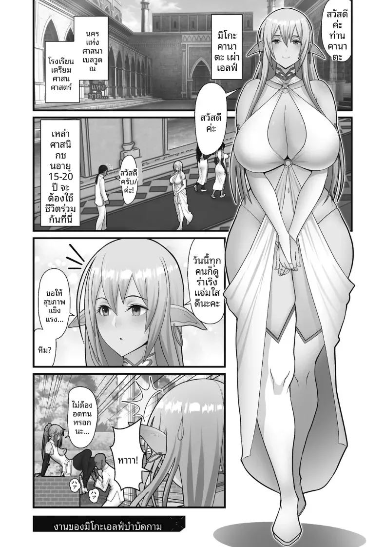 หน้าที่ของมิโกะเอลฟ์ ภาพ 2
