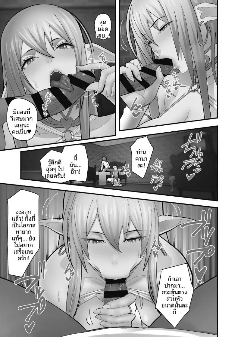 หน้าที่ของมิโกะเอลฟ์ ภาพ 6