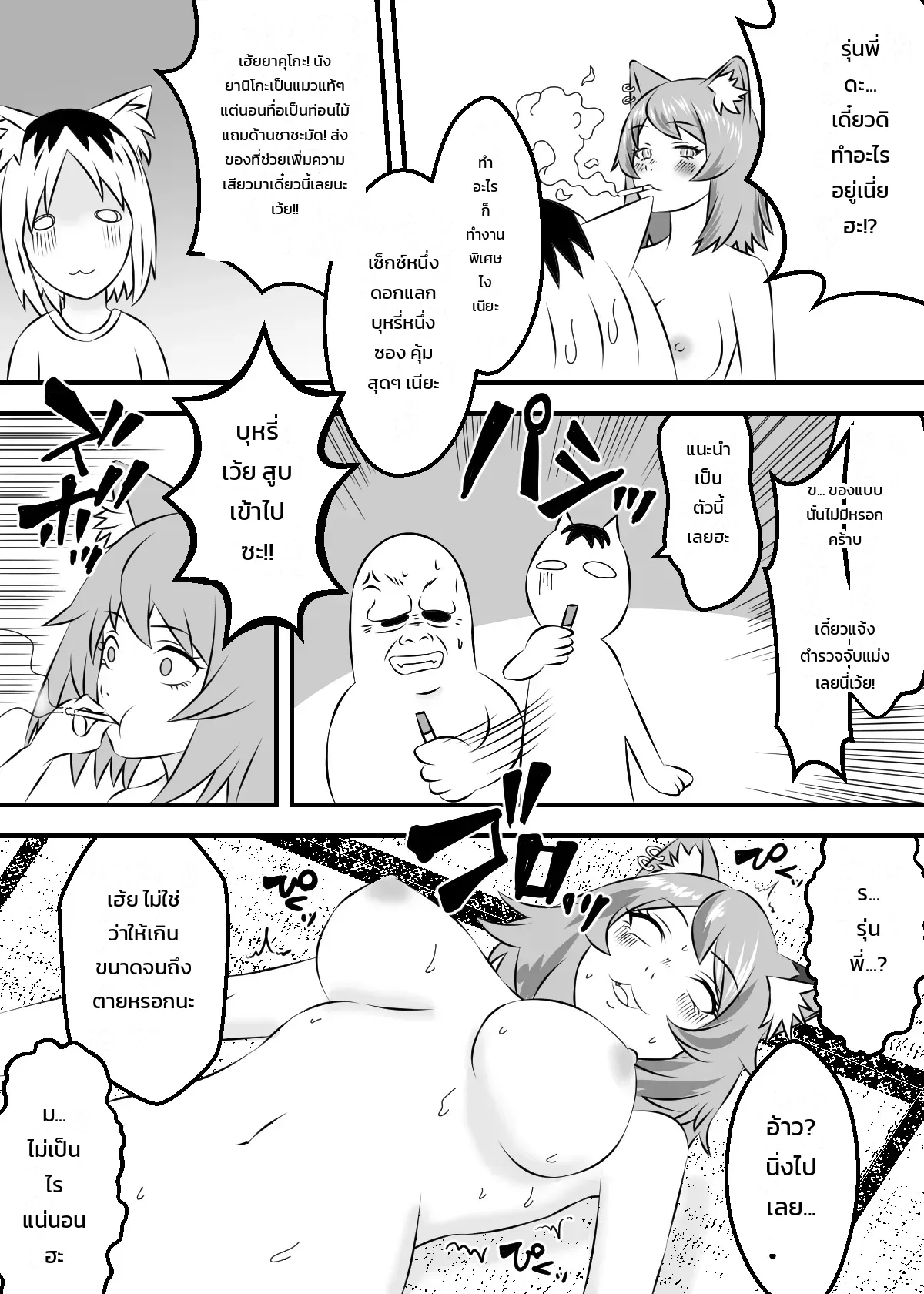 แมวสาวอมควัน ภาพ 6