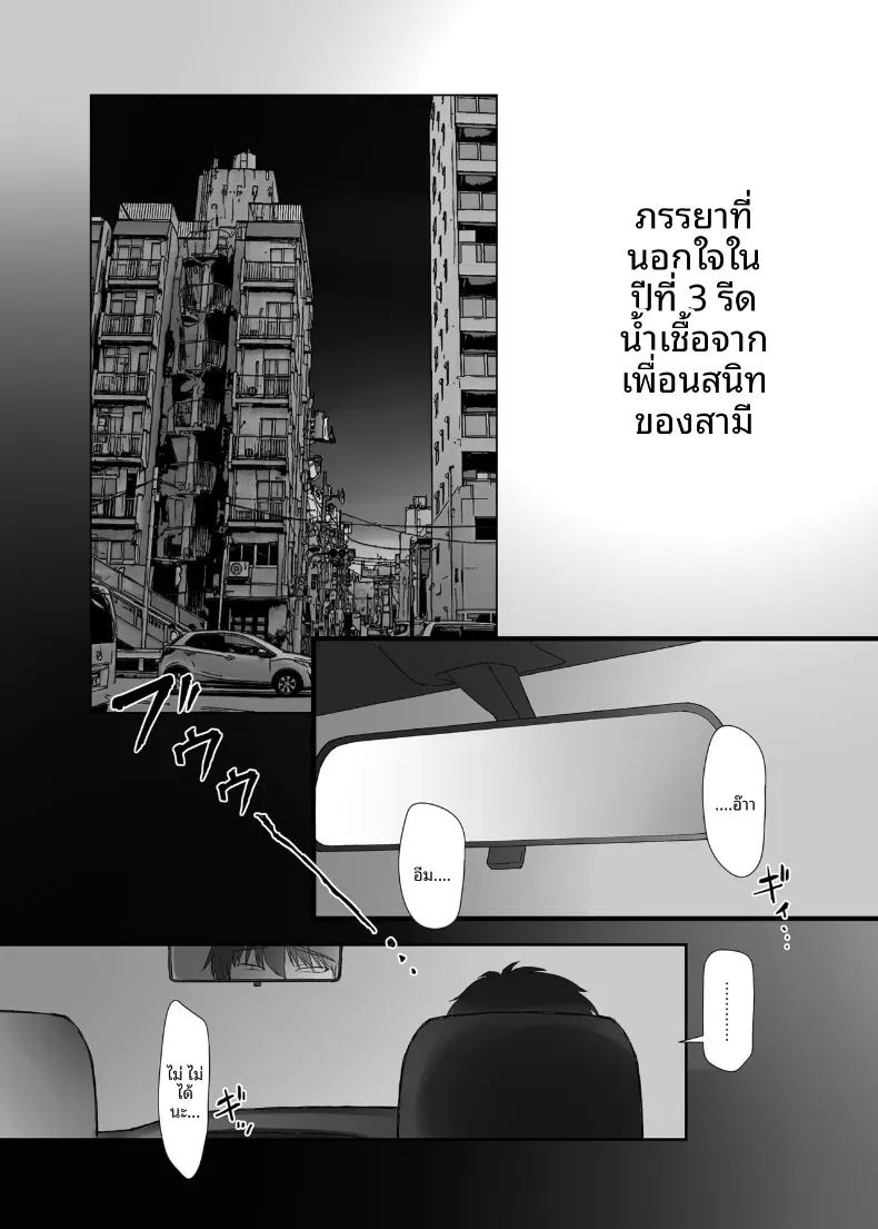 การนอกใจในปีที่สาม ภาพ 3