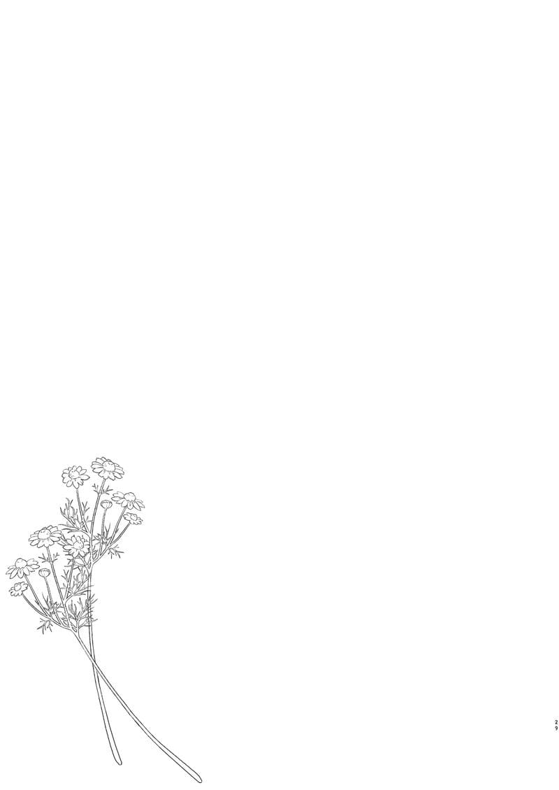 คาโมมีล... นวด ภาพ 26