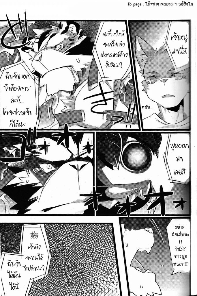 ล่อมาติดกับ ภาพ 16