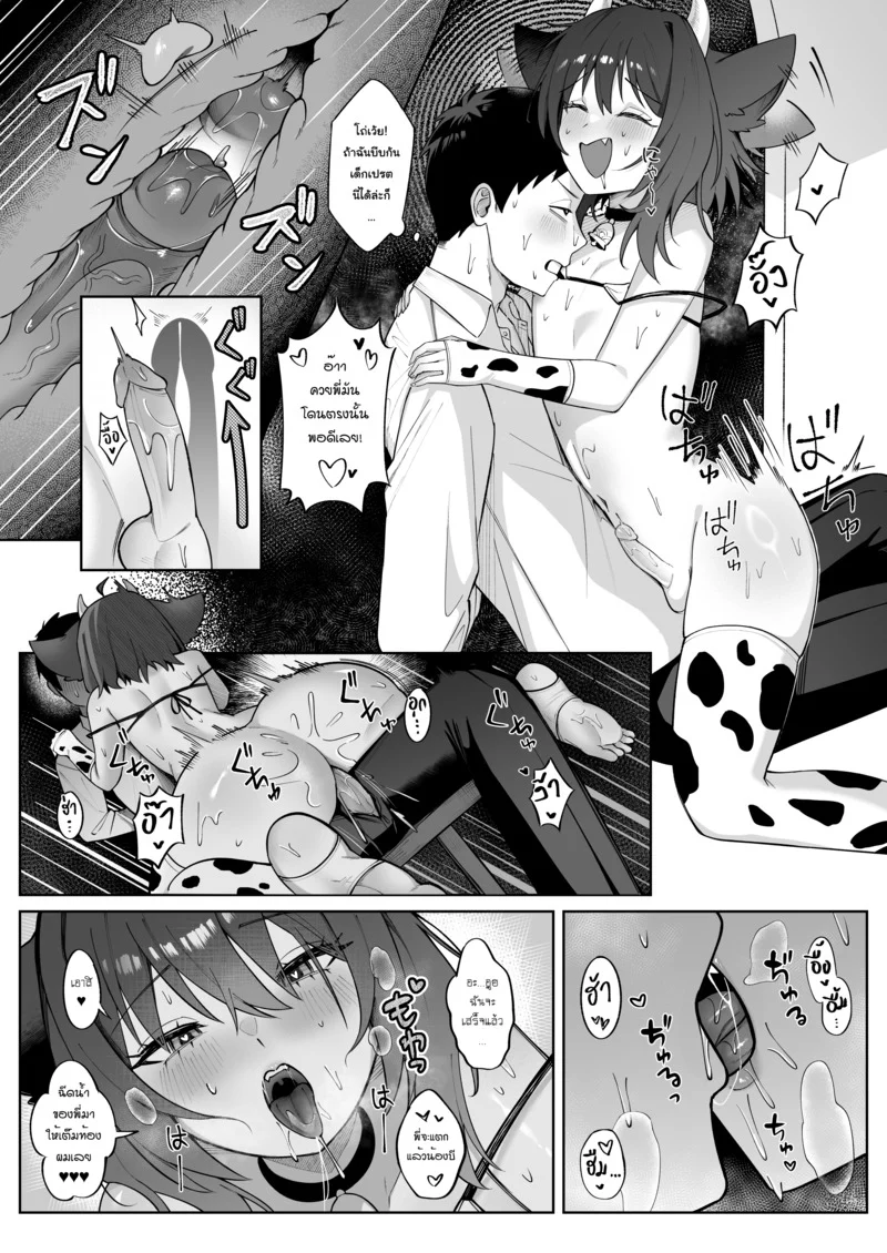 แมววัว ภาพ 4