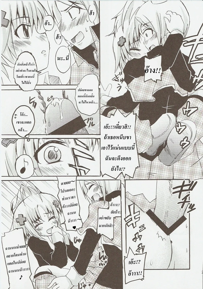 ปฎิบัติการปล้ำเจ้าชายของอามุจัง ภาพ 19