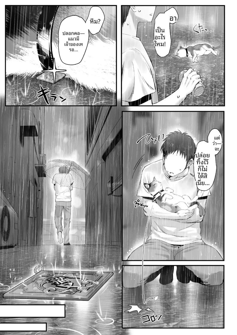 เรื่องราวของแมวที่เก็บมาเลี้ยง ที่จริงเป็นสาวแกลลูกสาวมาเฟีย ภาพ 7