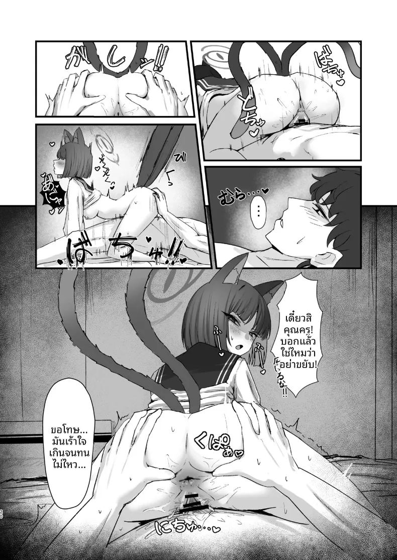การครอบครองของน้องแมว ภาพ 19