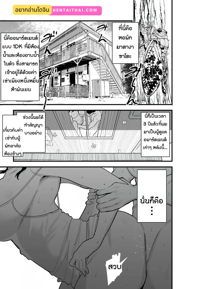 ภรรยาที่เสื่อมโทรม ภาพ 2