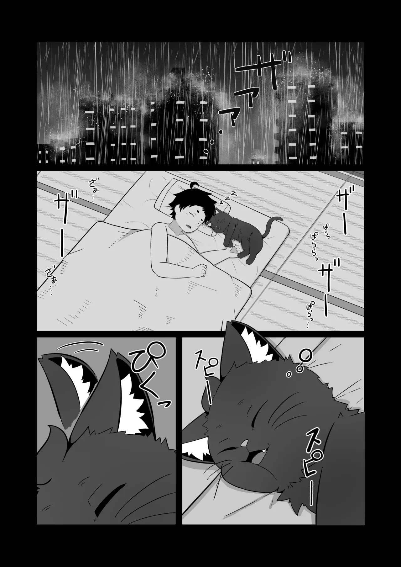 แมวของผมขี้อ้อนอยากกอด ภาพ 1