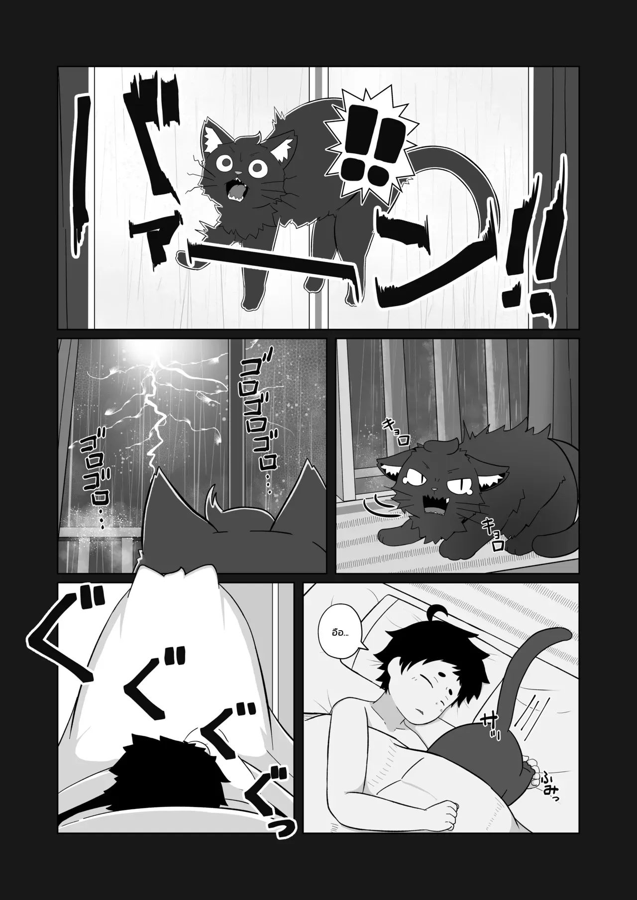 แมวของผมขี้อ้อนอยากกอด ภาพ 2