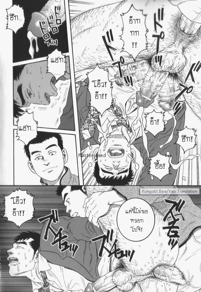 โปจิ ภาพ 14