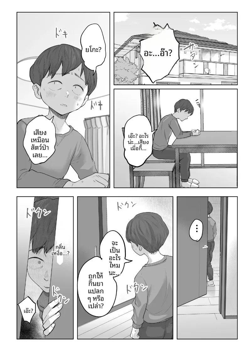 ประสบการณ์ ภาพ 22